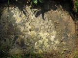 image of grave number 350140